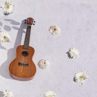 Kozmos KUK-TGL300 / Tenor Ukulele