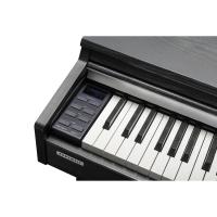 Kurzweil CUP-M1 Dijital Piyano (Gülağacı)