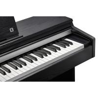 Kurzweil CUP-M1 Dijital Piyano (Gülağacı)