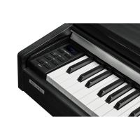 Kurzweil CUP-M1 Dijital Piyano (Siyah)