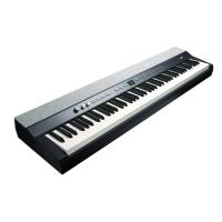 Kurzweil KA P1 LB Taşınabilir Dijital Piyano
