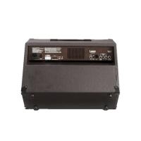 Laney LA65D (65W) Akustik Gitar Amfisi