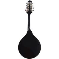 MANDOLİN PROFESYONEL EXTREME (XM60RD)