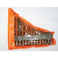 MAXTONE PF15-B PAN FLÜT 15 NOTA  PVC BAG TAIWAN