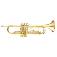 MAXTONE TTC-30L TRUMPET Bb KUTULU