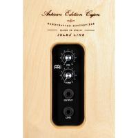 Meinl PAESLDOB Line Artisan Edition Elektro Cajon (Dark Olive Burst)