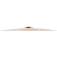 Meinl Pure Alloy Custom 22 Inch Ride Zil (Medium Thin)