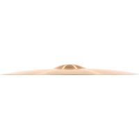 Meinl Pure Alloy 22 Inch  Ride Zil (Medium)