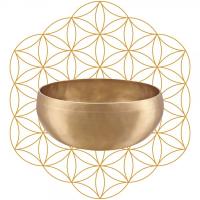 Meinl Sonic Energy Synthesis Series SB-S-FOL-1000 Singing Bowl (19.3cm)