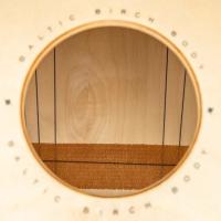 Meinl WC100EB Frontplate Woodcraft Baltic Birch Cajon (Espresso Burst) Wc100eb