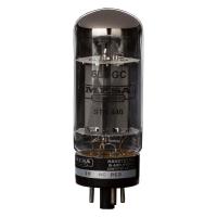 Mesa Boogie 750881D Russian Amfi Lambası