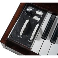 Moog 2022 Edition Minimoog Model D Analog Synthesizer (Maun)