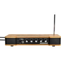 Moog Etherwave Analog Theremin