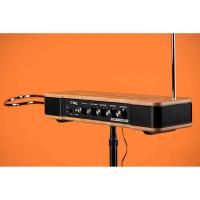 Moog Etherwave Analog Theremin