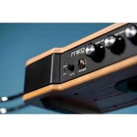 Moog Etherwave Analog Theremin
