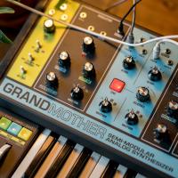 Moog Grandmother Semi-modüler Analog Synthesizer