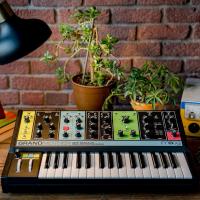 Moog Grandmother Semi-modüler Analog Synthesizer