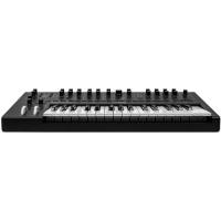 Moog Messenger Monofonik Analog Synthesizer