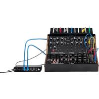 Moog Sound Studio Subharmonicon and DFAM Semi Modular Synthesizer Bundle