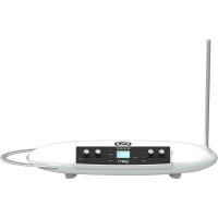 Moog Theremini Theremin