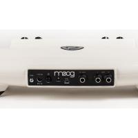Moog Theremini Theremin