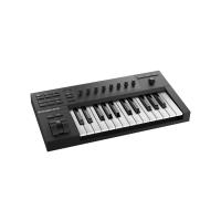Native Instruments Komplete Kontrol A25