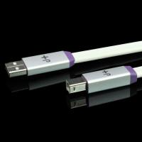 Neo Created by OYAIDE Elec. d+ USB Class S / 3.0 mt