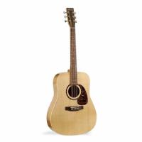Norman Encore B20 Akustik Gitar