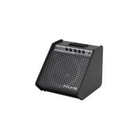 Nux NPA-100 Monitör Amfi