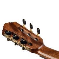 Ortega Pro Series Elektro Klasik Gitar (Siyah)