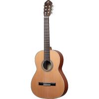 Ortega R18G Traditional Series Klasik Gitar (Natural)