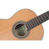 Ortega R18G Traditional Series Klasik Gitar (Natural)