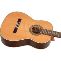 Ortega R19S Traditional Series Klasik Gitar (Natural)