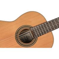 Ortega R19S Traditional Series Klasik Gitar (Natural)