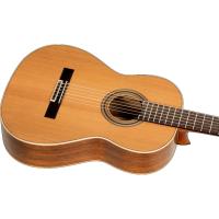 Ortega R20GWN Traditional Series Klasik Gitar (Natural)