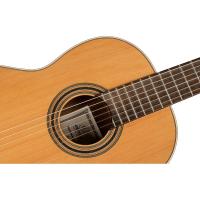Ortega R20GWN Traditional Series Klasik Gitar (Natural)