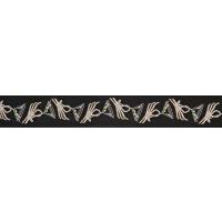 PLANETWAVES 50C07 GİTAR ASKISI DOKUMA 50MM STRAP-NP SKELETON GLASS 
