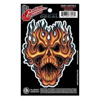PLANETWAVES GT77013 GTR TATTOO- FLAME WHIP STİCKER
