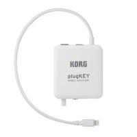 plugKEY