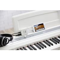 plugKEY