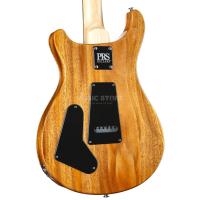 PRS CE 22 Limited Edition Elektro Gitar (Carroll Blue)