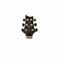 PRS SE 245 Standard 2017 Elektro Gitar (Black)