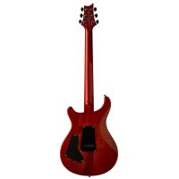 PRS SE Custom 24 Exotic Burled Ash Elektro Gitar (Vintage Sunburst)