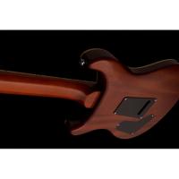 PRS SE Custom 24 Elektro Gitar (Zebrawood)
