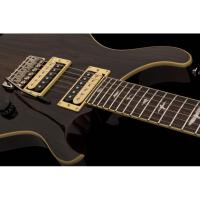 PRS SE Custom 24 Elektro Gitar (Ziricote Top)