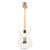 PRS Silver Sky John Mayer Elektro Gitar (Frost)