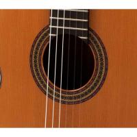 Raimundo 129 Cocobolo Cedar Klasik Gitar