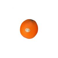 REMO SC-ORNG-01 Portakal Shaker
