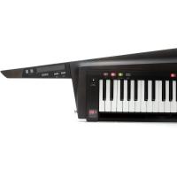 RK-100S 2-BK