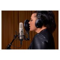 RODE NT1000 Mikrofon